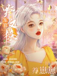 窃有