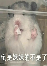 末世疯狂囤囤囤