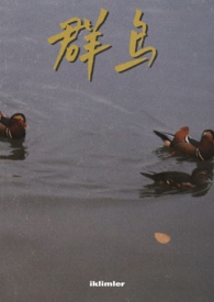 [综武侠] 祸水美人她好难