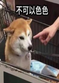 第欧根尼的阳光