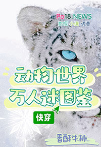 月光谣