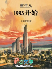 重生从1993开始
