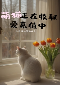 【银魂】江户闪景（all向NP乙女）