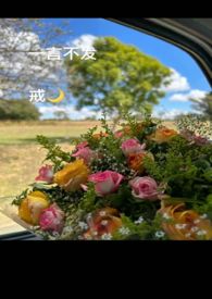 孤光